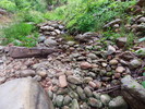 photo thumbnail #12