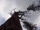 photo thumbnail #14