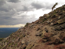 photo thumbnail #5