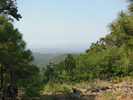 recent photo
