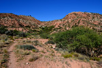 photo thumbnail #2