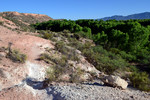 photo thumbnail #3
