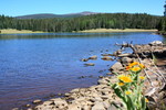 photo thumbnail #1