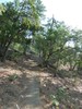 photo thumbnail #10