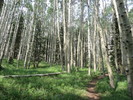 photo thumbnail #1