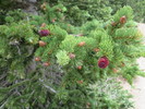 photo thumbnail #10