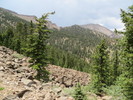 photo thumbnail #12