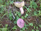 photo thumbnail #6