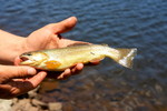 photo thumbnail #4