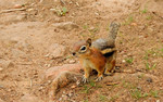 photo thumbnail #8
