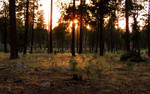 photo thumbnail #13