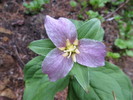 photo thumbnail #10