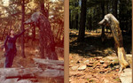 photo thumbnail #9