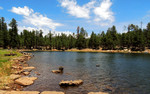 photo thumbnail #12