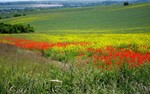 photo thumbnail #10