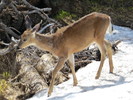 photo thumbnail #2