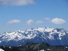 photo thumbnail #11