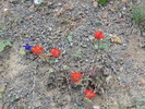 photo thumbnail #13