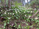photo thumbnail #15