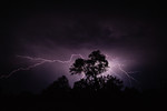 photo thumbnail #1