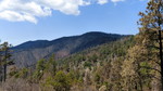 photo thumbnail #15