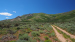 photo thumbnail #7