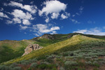 photo thumbnail #10