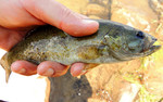 2013-07-03 :3: Willow Springs Lake :: outdoor_lover
