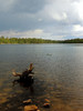 photo thumbnail #15