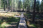 photo thumbnail #12