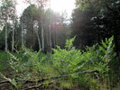 photo thumbnail #11