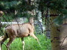 photo thumbnail #2