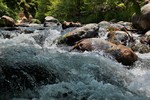 photo thumbnail #10