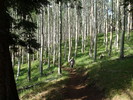 photo thumbnail #2