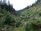 photo thumbnail #11