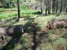 photo thumbnail #2