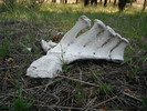 photo thumbnail #13