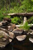 photo thumbnail #1