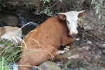 photo thumbnail #6