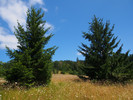 photo thumbnail #2