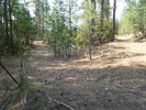 photo thumbnail #3
