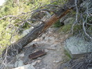 photo thumbnail #14