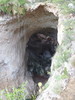 photo thumbnail #5