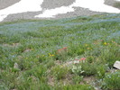 photo thumbnail #13
