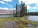 photo thumbnail #2
