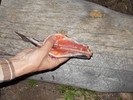 photo thumbnail #5