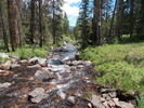 photo thumbnail #9