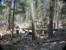 photo thumbnail #8