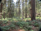 photo thumbnail #10