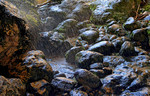 photo thumbnail #12
